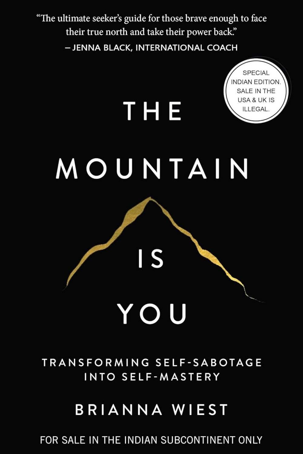 The Mountain Is You – Brianna Wiest